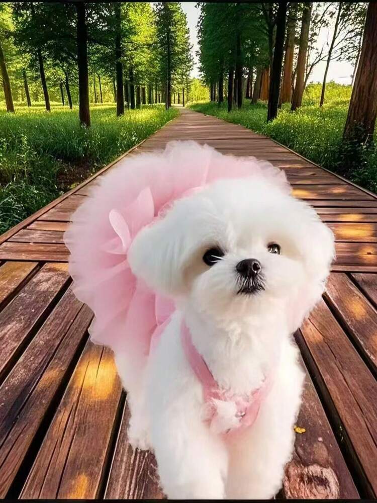 Elegant Tulle Ballet Dress for Small Dogs and Cats – Sleeveless Princess Pet Outfit for Spring and Summer Parties