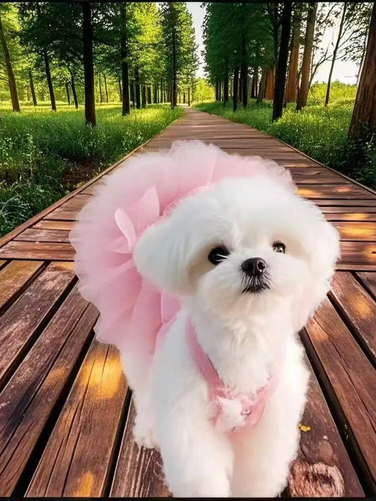 Elegant Tulle Ballet Dress for Small Dogs and Cats – Sleeveless Princess Pet Outfit for Spring and Summer Parties