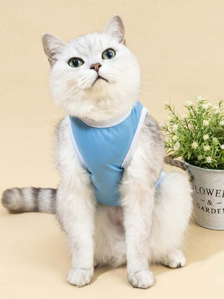 Mama's Boy Forever Pet Shirt – Cute Blue Graphic Top for Small Dogs and Cats, Soft and Comfortable Daily Wear
