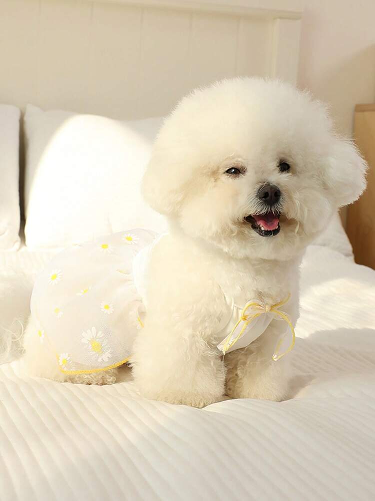 Breathable Mesh Skirt for Small Dogs and Cats – Lightweight Pet Tutu for Pomeranian, Bichon, Teddy, Yorkie, Schnauzer, and More