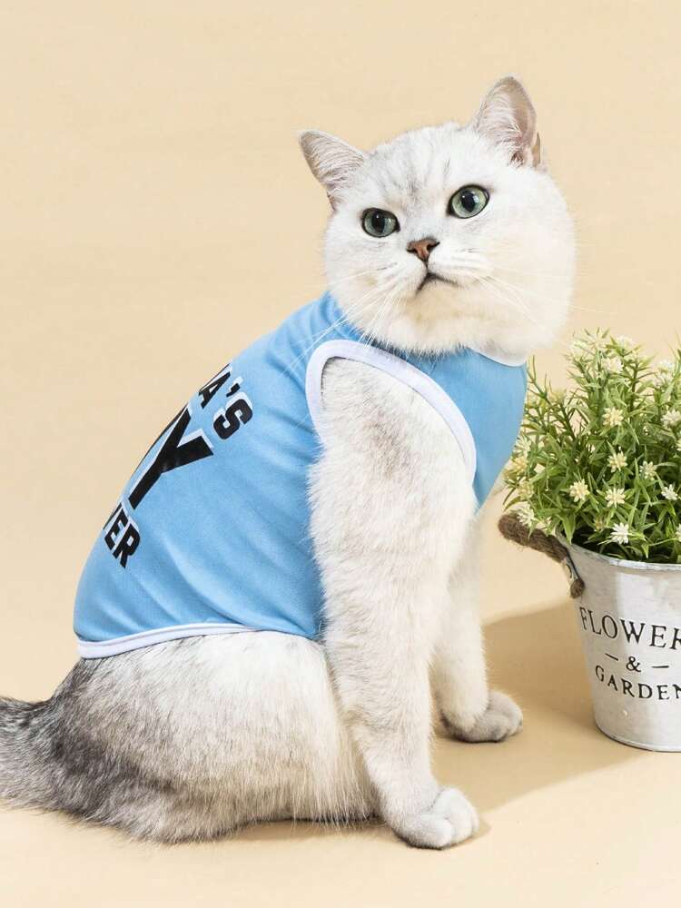 Mama's Boy Forever Pet Shirt – Cute Blue Graphic Top for Small Dogs and Cats, Soft and Comfortable Daily Wear