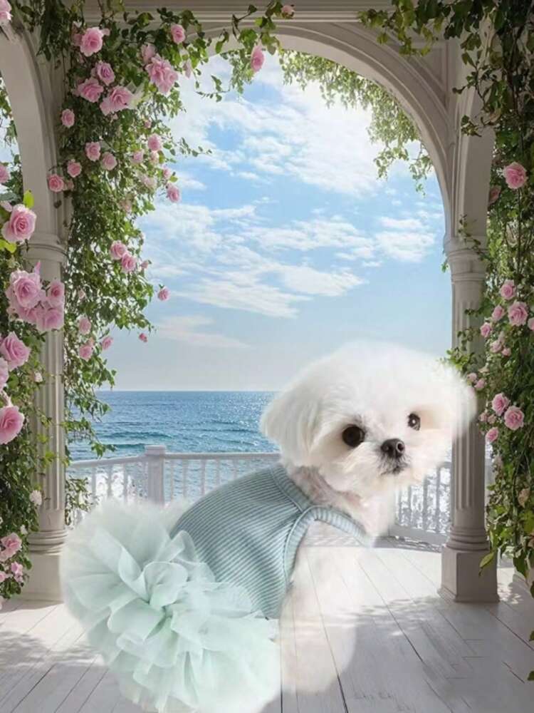 Elegant Tulle Ballet Dress for Small Dogs and Cats – Sleeveless Princess Pet Outfit for Spring and Summer Parties