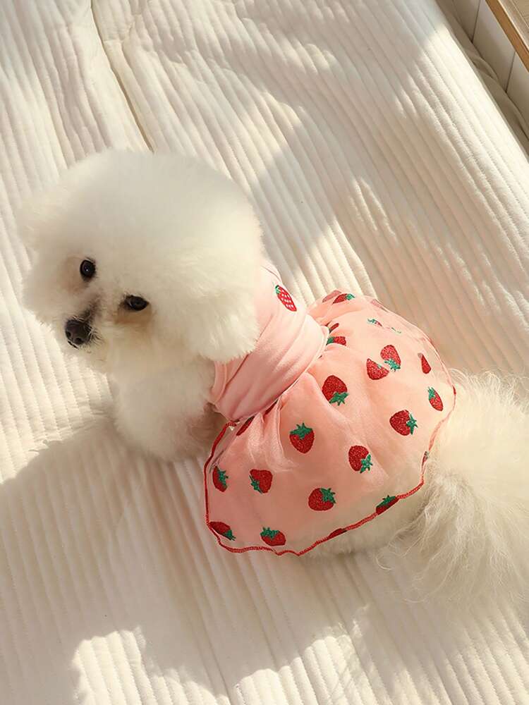 Breathable Mesh Skirt for Small Dogs and Cats – Lightweight Pet Tutu for Pomeranian, Bichon, Teddy, Yorkie, Schnauzer, and More