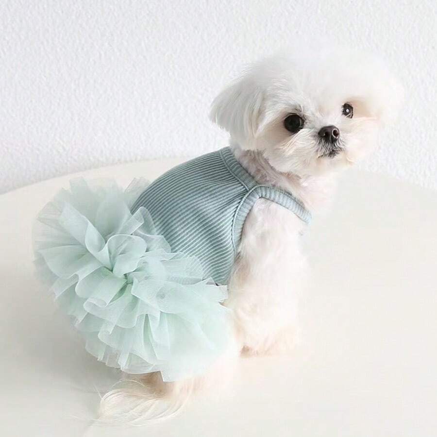 Elegant Tulle Ballet Dress for Small Dogs and Cats – Sleeveless Princess Pet Outfit for Spring and Summer Parties