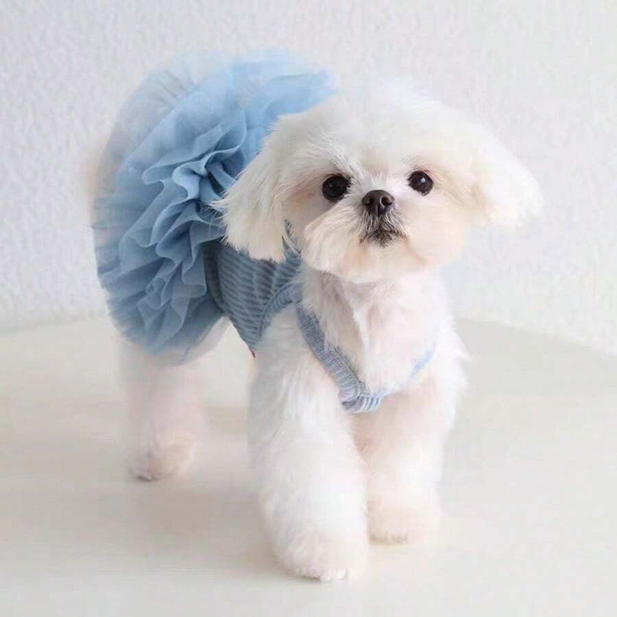Elegant Tulle Ballet Dress for Small Dogs and Cats – Sleeveless Princess Pet Outfit for Spring and Summer Parties