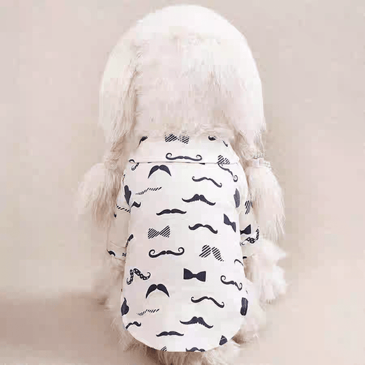 Lightweight Printed Shirt for Small and Medium Dogs and Cats – Thin Spring/Summer Pet Outfit for Daily Wear