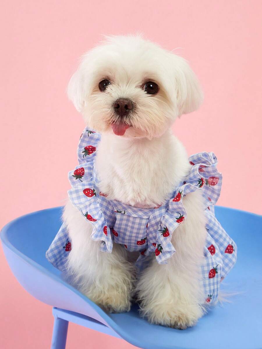 Sweet Country Style Pet Dress for Small Dogs and Cats – Floral Plaid Strawberry Print with Cap Sleeves