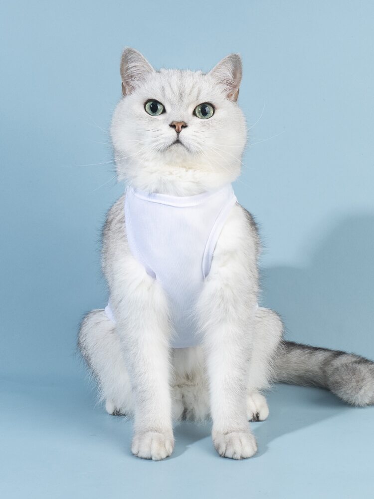 Valentine's Day Pet Tank Top – Heart and Slogan Graphic Sleeveless Shirt for Small Dogs and Cats