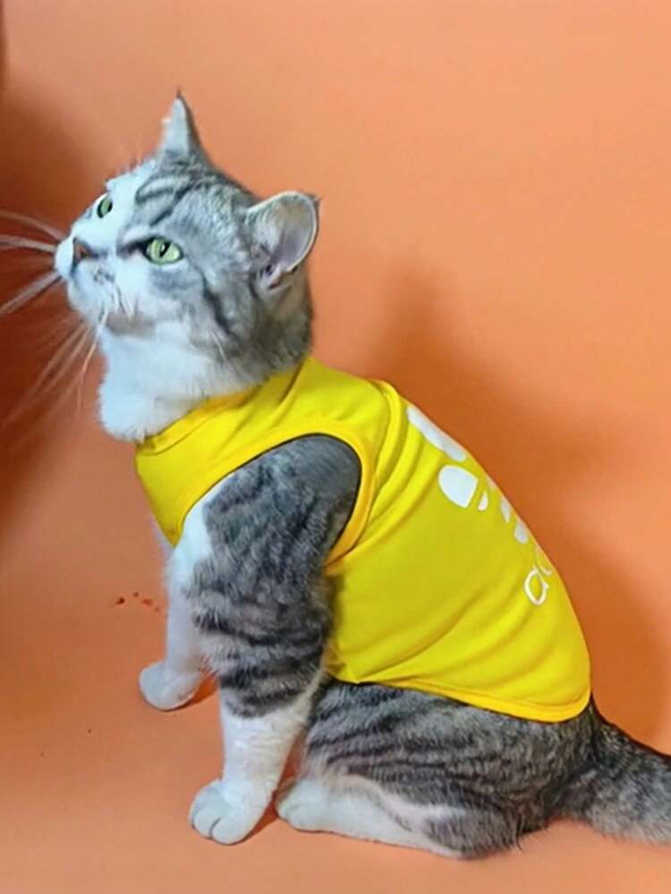1PC Dog Paw Print Pet Vest – Sporty Lightweight T-Shirt for Small to Medium Dogs and Cats