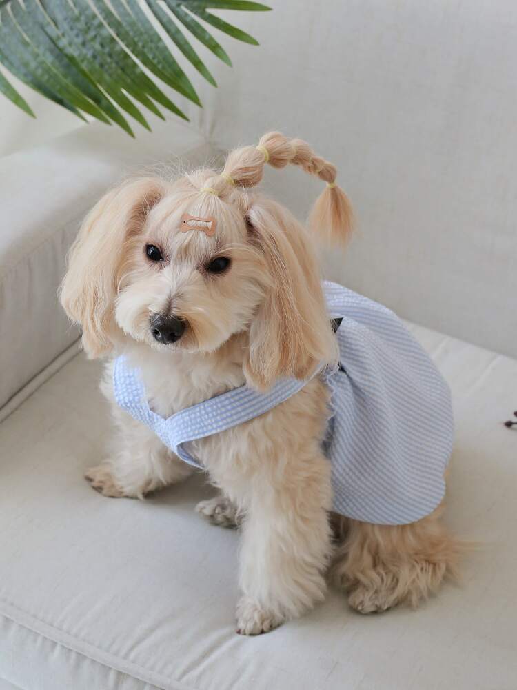 Striped Pet Dress with Bow Decoration – Cute Sleeveless Outfit for Small Dogs and Cats, Lightweight and Stylish for Summer