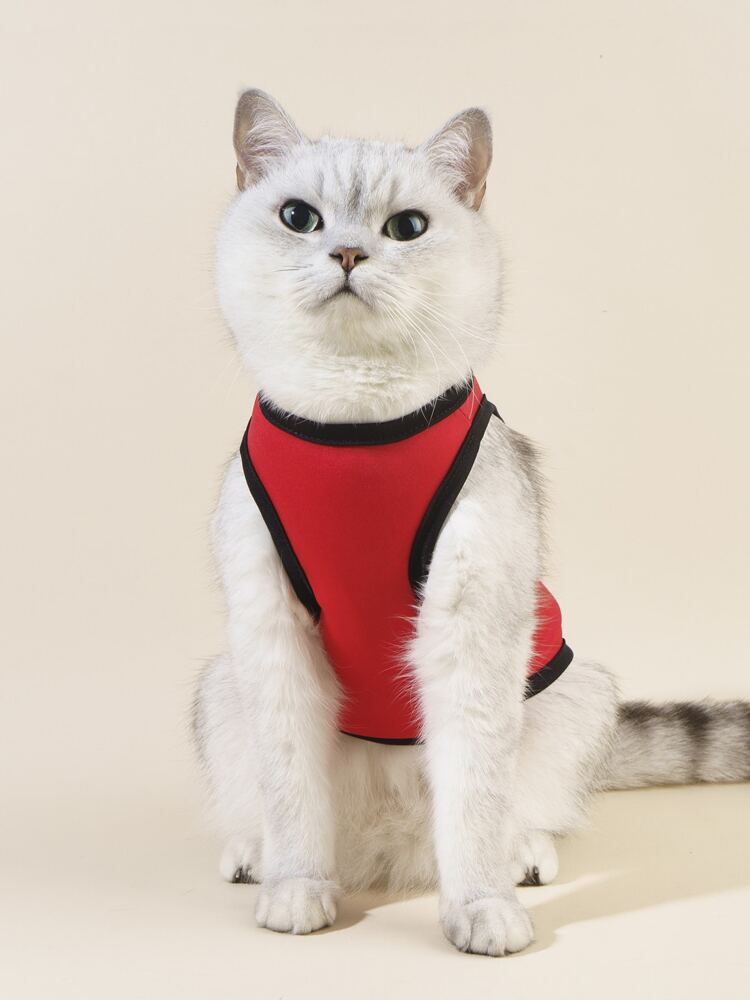 1PC Letter Graphic Pet Tank Top – Lightweight Casual Shirt for Small Dogs and Cats, Easy Summer Wear