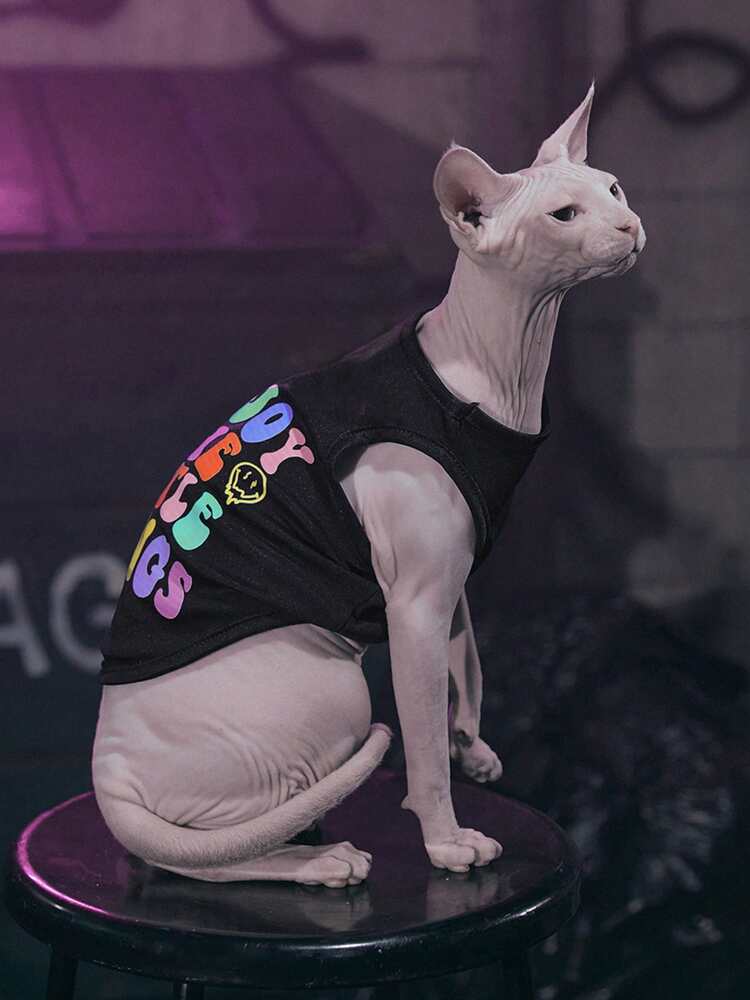 1PC Slogan Graphic Pet Tank Top – Casual Lightweight Shirt for Small Dogs and Cats, Easy Summer Wear