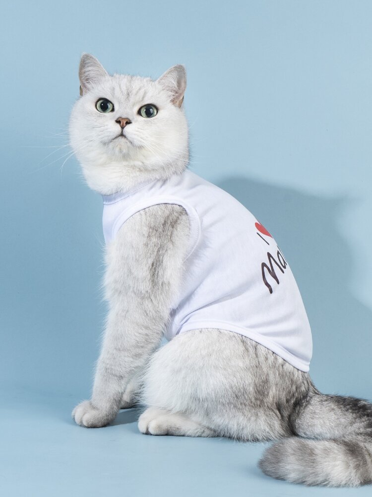 Valentine's Day Pet Tank Top – Heart and Slogan Graphic Sleeveless Shirt for Small Dogs and Cats